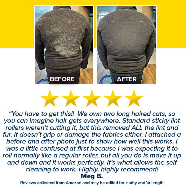 Rolling Pet Hair Remover