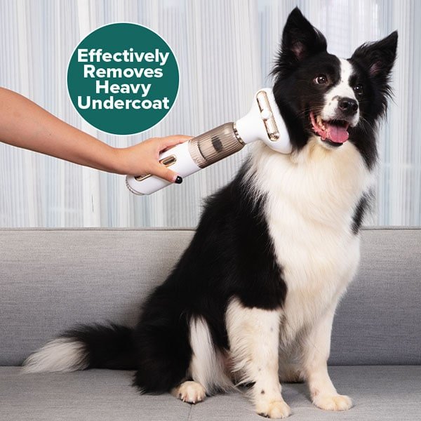 Pet Grooming Vacuum