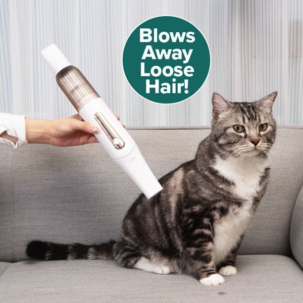 Pet Grooming Vacuum