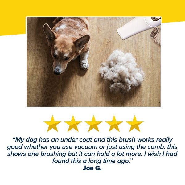 Pet Grooming Vacuum