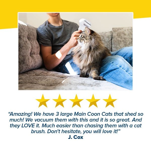 Pet Grooming Vacuum