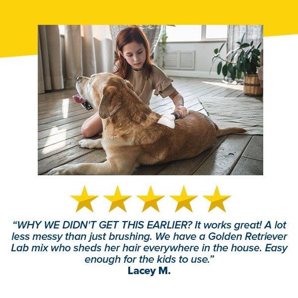 Pet Grooming Vacuum
