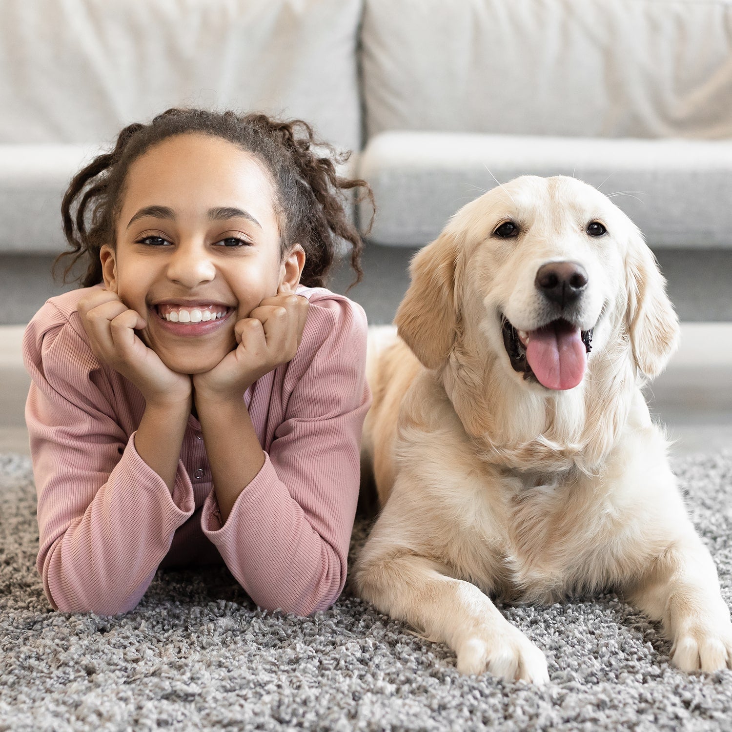 Horsepower Bull Shot – BulbHead Horsepower Bull Shot – BulbHead