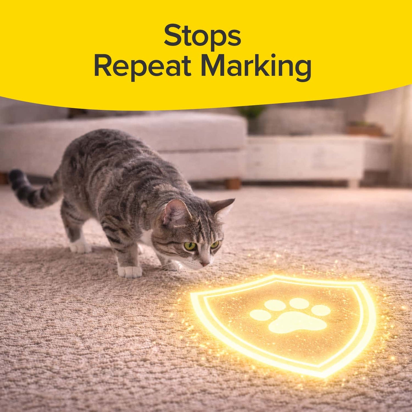 Bull Shot Pet Stains