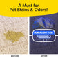 On the left, a carpet with a yellow pet stain labeled BEFORE; on the right, the stain is gone under blacklight, labeled AFTER. Horsepower Bull Shot: Powerful Carpet Cleaner. BLACKLIGHT TEST—A Must for Pet Stains & Odors!.