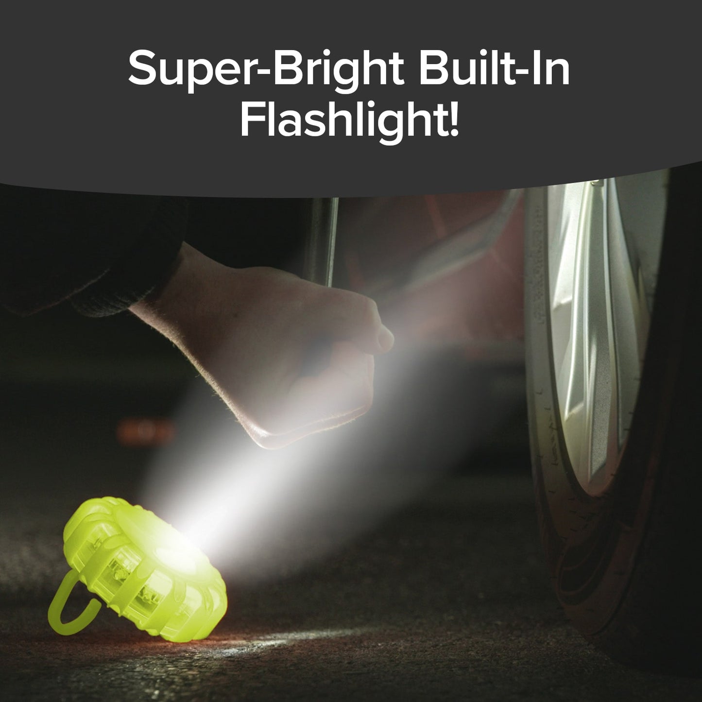 Lizard Flare Light