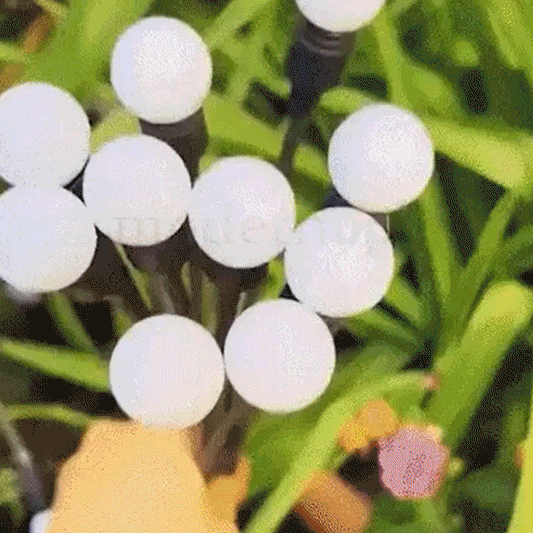 Solar Garden Firefly Lights
