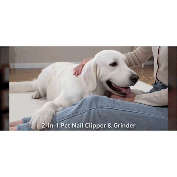 A person trims a relaxed white dog’s nails with the Dog Nail Clippers & Grinder with LED Light, gently holding its paw as the dog lies calmly on the floor during grooming.