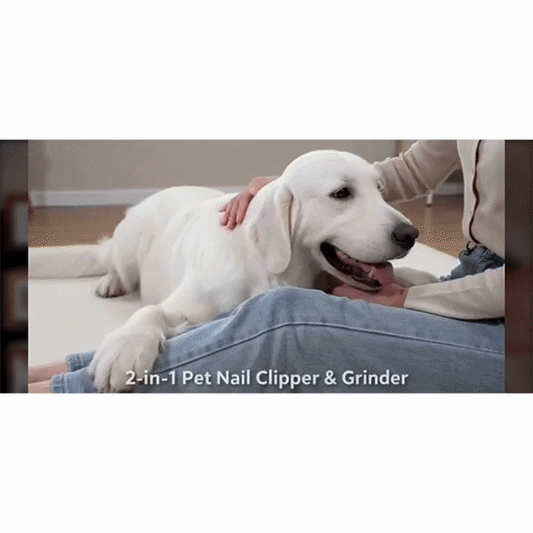 A person trims a relaxed white dog’s nails with the Dog Nail Clippers & Grinder with LED Light, gently holding its paw as the dog lies calmly on the floor during grooming.