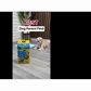 A small, light-colored dog sits on a wood floor beside a yellow package of Drawstring Pee Pad (Includes 25 Pads). Text overlay at the top reads BEST Dog Parent Find. In the background, a plant stands against a white brick and wood-slat wall.