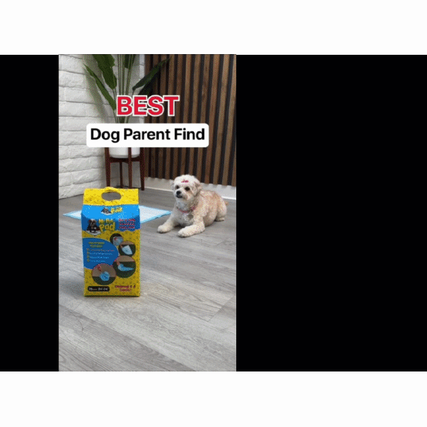 A small, light-colored dog sits on a wood floor beside a yellow package of Drawstring Pee Pad (Includes 25 Pads). Text overlay at the top reads BEST Dog Parent Find. In the background, a plant stands against a white brick and wood-slat wall.