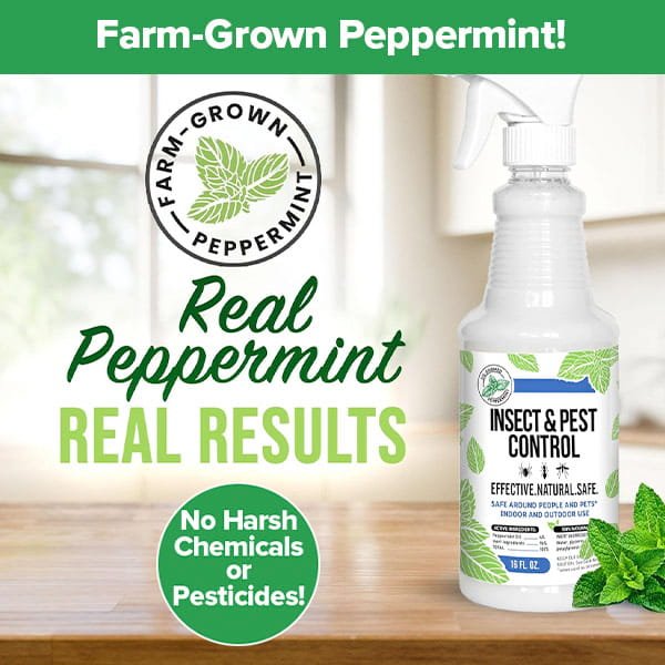 A spray bottle labeled All Natural Peppermint Oil Insect Repellent Spray has peppermint leaf graphics. The text reads Farm-Grown Peppermint! This plant-based spray uses real peppermint oil for natural pest control, without harsh chemicals or pesticides.
