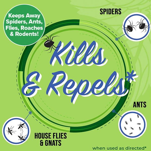 Infographic on green background reads: "All Natural Peppermint Oil Insect Repellent Spray kills & repels spiders, ants, house flies & gnats." Circles show these pests. A bubble highlights it keeps away spiders, ants, flies, roaches & rodents!.