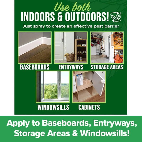 Infographic shows where to use All Natural Peppermint Oil Insect Repellent Spray: baseboards, entryways, storage areas, windowsills & cabinets. Text: “Spray indoors & outdoors for a natural pest barrier!”.