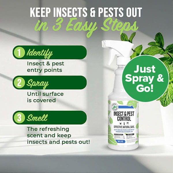 All Natural Peppermint Oil Insect Repellent Spray comes in a green and white bottle featuring mint leaves. To use: find entry points, spray until covered, and enjoy the fresh scent. "Just Spray & Go!" is highlighted for natural pest control.