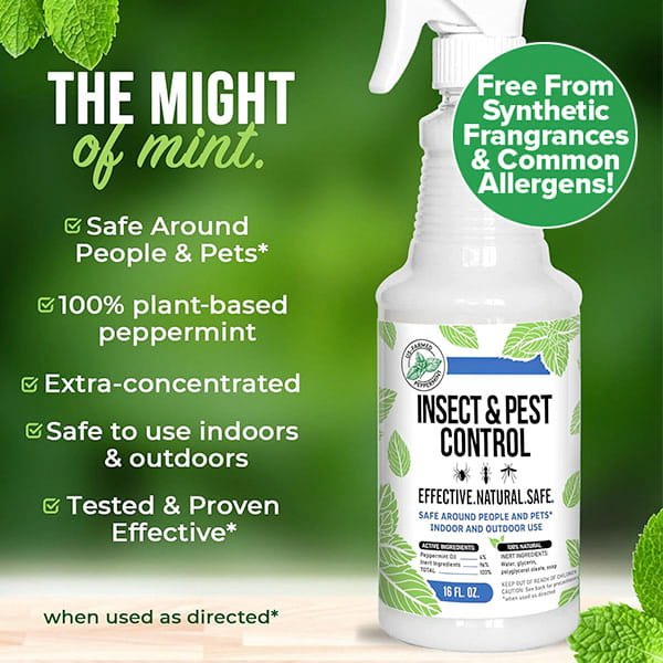 All Natural Peppermint Oil Insect Repellent Spray: an extra-concentrated, plant-based formula safe for people and pets. Use indoors or outdoors. Enjoy “The might of mint”—free from synthetic fragrances.