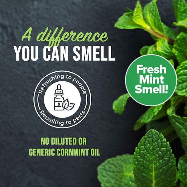 Fresh mint leaves shown with the text: A difference you can smell. All Natural Peppermint Oil Insect Repellent Spray uses pure peppermint oil—no diluted cornmint—for natural pest control. Refreshing for people, repelling for pests!.