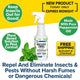 Ad for All Natural Peppermint Oil Insect Repellent Spray: Features a spray bottle, mint leaves, and promotes plant-based protection from insects using peppermint oil—no harsh chemicals. Enjoy free shipping!.