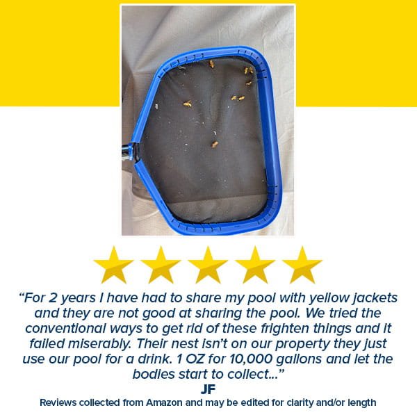 A blue pool skimmer with dead yellow jackets is shown above a five-star review about battling yellow jackets in a pool and an unsuccessful try with indoor outdoor bug spray, highlighting the need for All Natural Peppermint Oil Insect Repellent Spray.