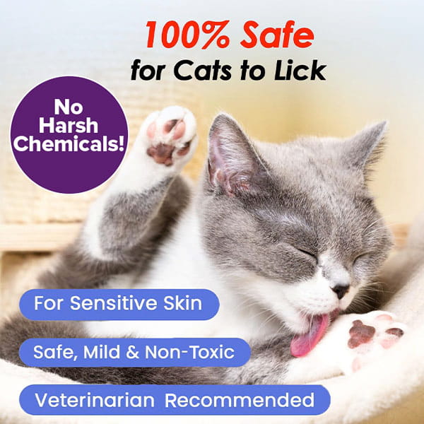 A gray and white cat licks its paw while lying down. The image includes text: Cat Waterless Shampoo with Brush—100% Safe for Cats to Lick, Hypoallergenic, No Harsh Chemicals, Mild, Non-Toxic & Vet Recommended.