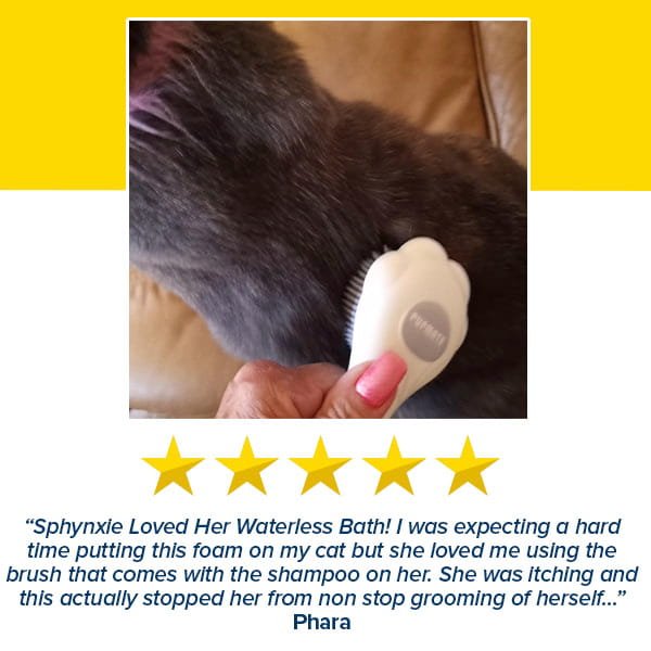 A hand uses the Cat Waterless Shampoo with Brush on a gray, hairless cat. Below is a five-star review praising it for stopping the cat’s constant grooming and itching.