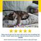 A tabby cat sleeps on a light pillowcase. A 5-star review highlights how the Cat Waterless Shampoo with Brush keeps the cat clean without baths.