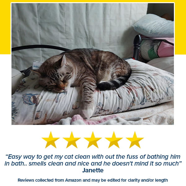 A tabby cat sleeps on a light pillowcase. A 5-star review highlights how the Cat Waterless Shampoo with Brush keeps the cat clean without baths.