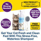 An ad for Cat Waterless Shampoo with Brush shows a cat, the shampoo bottle, and a soft silicone brush. Text highlights no rinsing needed, odor removal, free brush included, free shipping, and a limited-time offer.