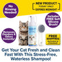 An ad for Cat Waterless Shampoo with Brush shows a cat, the shampoo bottle, and a soft silicone brush. Text highlights no rinsing needed, odor removal, free brush included, free shipping, and a limited-time offer.