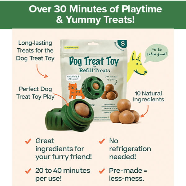 Dog Treat Toy With Refill Treats shown with labeled features: Long Lasting Dog Chews, made with 10 natural ingredients, no refrigeration required, pre-measured treats, and provides 20-40 minutes of playtime. Green toy and brown Peanut Butter Dog Treats displayed alongside a playful dog illustration.