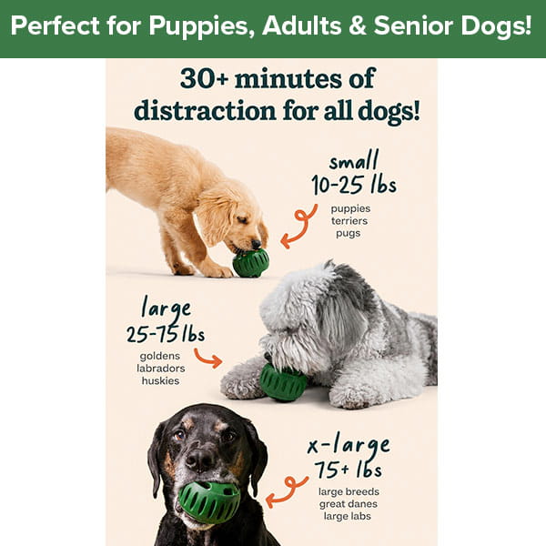 Three dogs of different sizes play with green Dog Treat Toy With Refill Treats. The text describes available toy sizes—small (10–25 lbs), large (25–75 lbs), and x-large (75+ lbs)—making these long-lasting chews suitable for puppies, adult, and senior dogs.