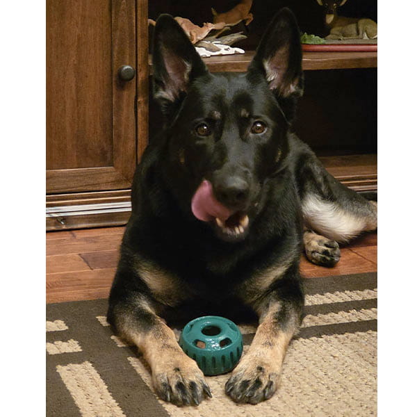A black and tan German Shepherd lies on a rug indoors, licking its nose and resting its paws on the Dog Treat Toy With Refill Treats.