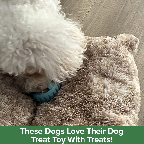 A fluffy white dog plays with the blue Dog Treat Toy With Refill Treats on a beige plush bed, eagerly searching for hidden treats. The text below reads, These Dogs Love Their Dog Treat Toy With Refill Treats!.