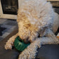 A curly-haired dog chews on a Dog Treat Toy With Refill Treats while lying on a couch. The dog’s face is partially hidden by its fur and the toy.