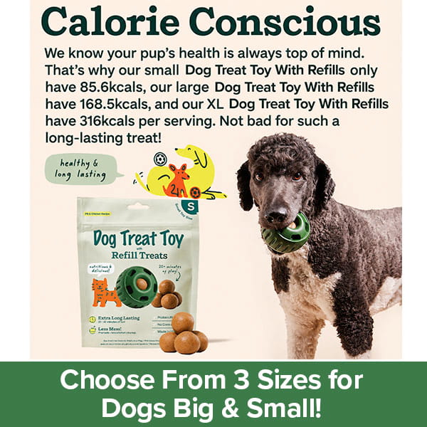 A black poodle holds the Dog Treat Toy With Refill Treats in its mouth. Text explains the calorie content for different toy treat sizes, including options ideal for Peanut Butter Dog Treats. The image shows a treat package and refill balls. Bottom text reads, Choose From 3 Sizes for Dogs Big & Small!.
