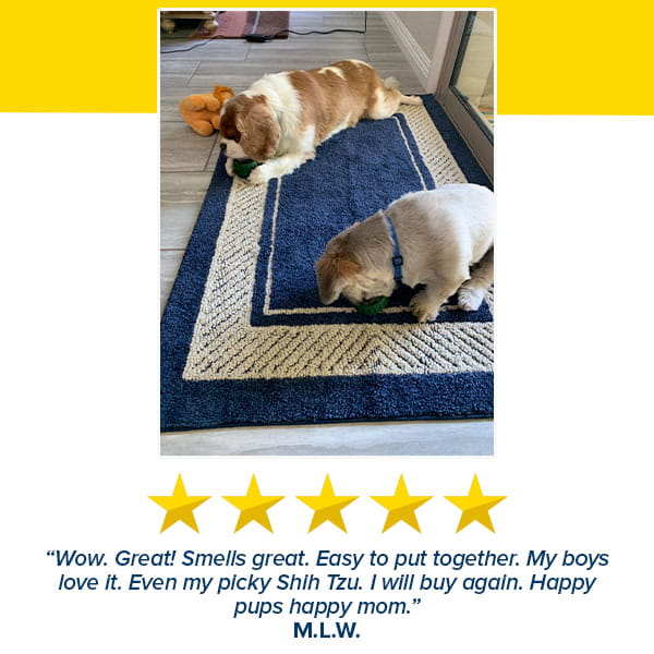Two small dogs chew on green Dog Treat Toy With Refill Treats while lying on a navy and beige rug by a door. A plush toy sits nearby, perhaps waiting to be stuffed with tasty treats. Below the photo, five gold stars and a positive customer review are displayed.