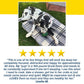 A black and white Great Dane lies on a plaid dog bed outdoors, chewing on a green Dog Treat Toy With Refill Treats. Below, five yellow stars and a customer testimonial praise the toy’s durability with long lasting chews.