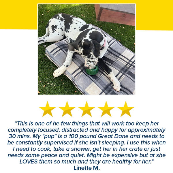 A black and white Great Dane lies on a plaid dog bed outdoors, chewing on a green Dog Treat Toy With Refill Treats. Below, five yellow stars and a customer testimonial praise the toy’s durability with long lasting chews.