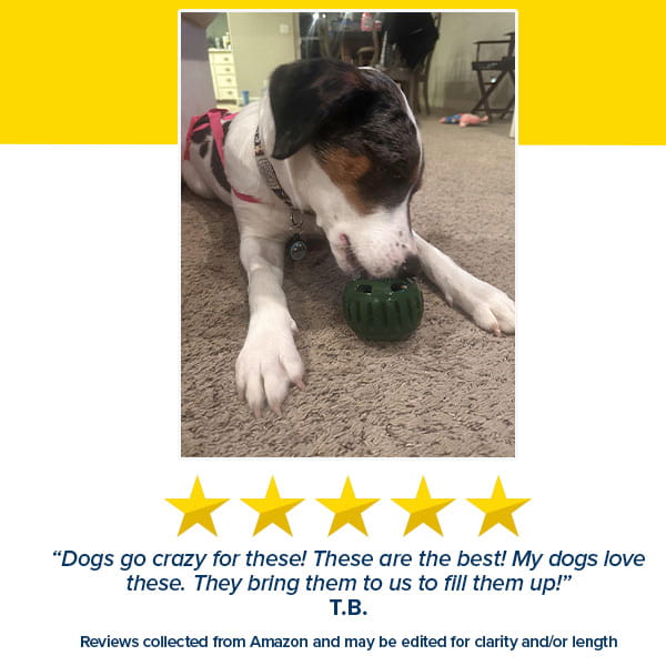A dog lies on a carpet, licking or chewing a green Dog Treat Toy With Refill Treats filled with peanut butter treats. The image features a five-star rating and a customer review that praises the product for keeping dogs entertained with its long-lasting chews.