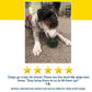 A dog lies on a carpet, licking or chewing a green Dog Treat Toy With Refill Treats filled with peanut butter treats. The image features a five-star rating and a customer review that praises the product for keeping dogs entertained with its long-lasting chews.