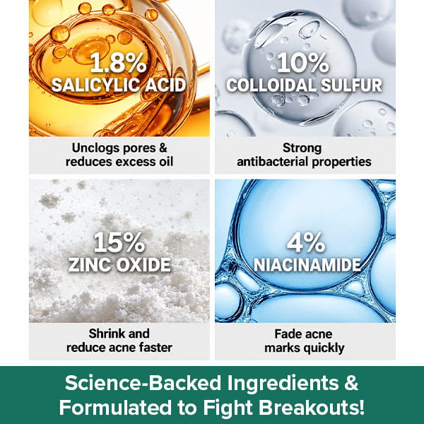 Four-panel graphic for Dr. Leo Acne Buster showcasing ingredients: 1.8% salicylic acid, 10% colloidal sulfur, 15% zinc oxide, and 4% niacinamide to help fade post-acne marks, with captions explaining their specific skin benefits.