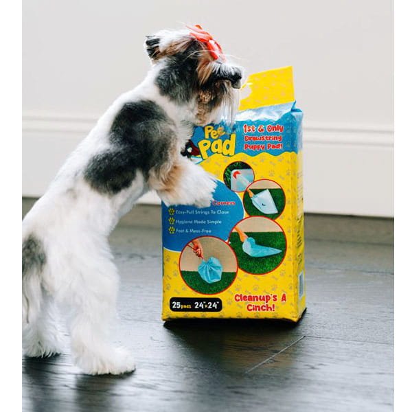 A small dog with a red bow sniffs a large yellow package of Drawstring Pee Pad (Includes 25 Pads) on a wooden floor.