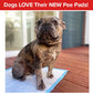 A brindle bulldog sits on a white Drawstring Pee Pad (Includes 25 Pads) on a wooden deck. The image features a red banner at the top that reads, Dogs LOVE Their NEW Pee Pads!.