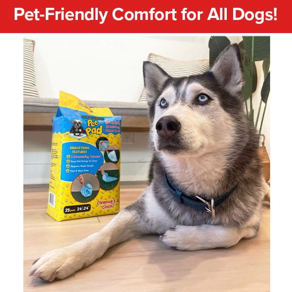 A Siberian Husky lies on the floor next to a package of Drawstring Pee Pad (Includes 25 Pads). Text at the top reads, Pet-Friendly Comfort for All Dogs! The scene is indoors with a sofa and plant visible in the background, ensuring your home stays fresh and clean with superior odor control from these convenient pee pads.
