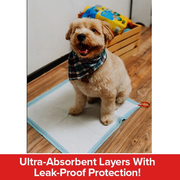 A small, tan dog wearing a plaid bandana sits on a Drawstring Pee Pad (Includes 25 Pads) indoors. Behind the dog is a wooden crate with pet supplies. Text below reads: Ultra-Absorbent Layers With Leak-Proof Protection! Featuring advanced odor control technology for a fresher home.