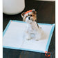 A small dog with a red bow sits on a Drawstring Pee Pad (Includes 25 Pads), placed on a dark wooden floor, looking up at the camera.