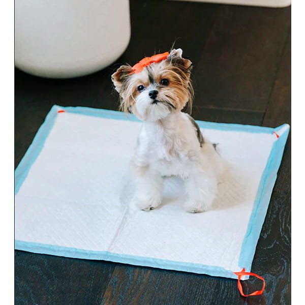 A small dog with a red bow sits on a Drawstring Pee Pad (Includes 25 Pads), placed on a dark wooden floor, looking up at the camera.