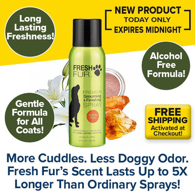 A Fresh Fur grooming spray bottle for dogs, surrounded by text highlighting its long-lasting fragrance, alcohol-free formula, gentle care for all coats, and free shipping.