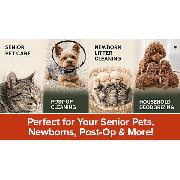 Four images of pets: a senior cat, a small dog post-op, newborn puppies, and a dog with plush toys. Text: Ideal Care for Senior Pets, Newborns, Post-Op & More! Each image is labeled to show the specific pet care scenario—highlighting Hypoallergenic Dog & Cat Bathing Glove Wipes as gentle yet effective essentials for grooming and odor neutralizing.