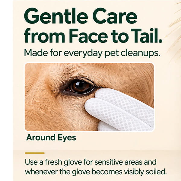 A gloved hand gently cleans near a dog’s eye using our Hypoallergenic Dog & Cat Bathing Glove Wipes. Gentle Care from Face to Tail: made for everyday pet cleanups, including around the eyes. Use a fresh glove for sensitive areas or when visibly soiled.